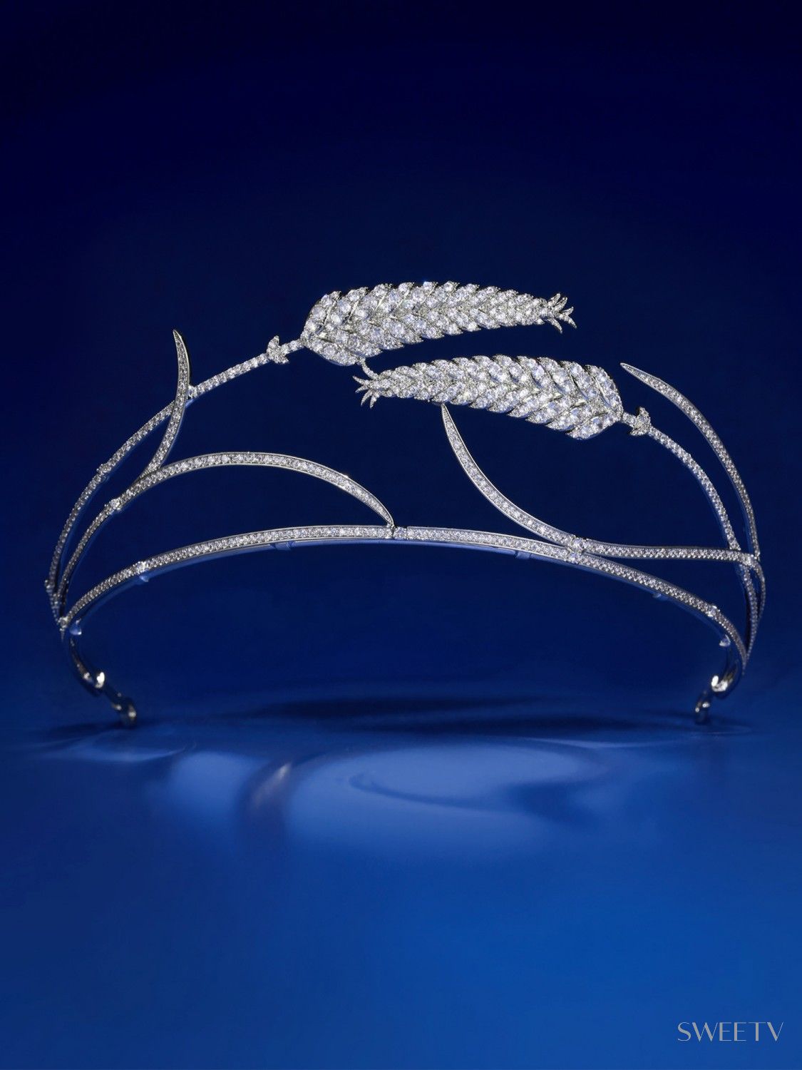 SV Ria Ears of Wheat Zircon Tiara-Crowns & Tiaras | SWEETV